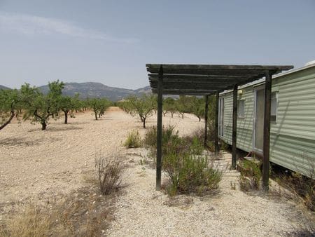 Terreno para Construção para venda em Mula - 45 000 € (Ref: 9464072)