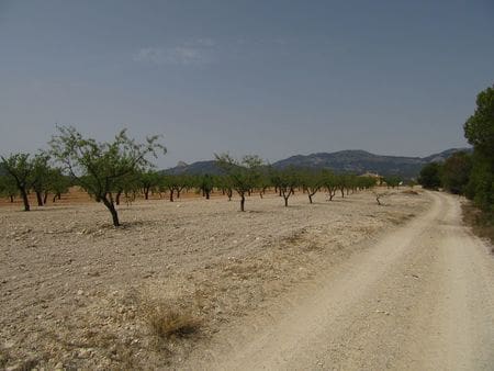 Terreno para Construção para venda em Mula - 45 000 € (Ref: 9464072)