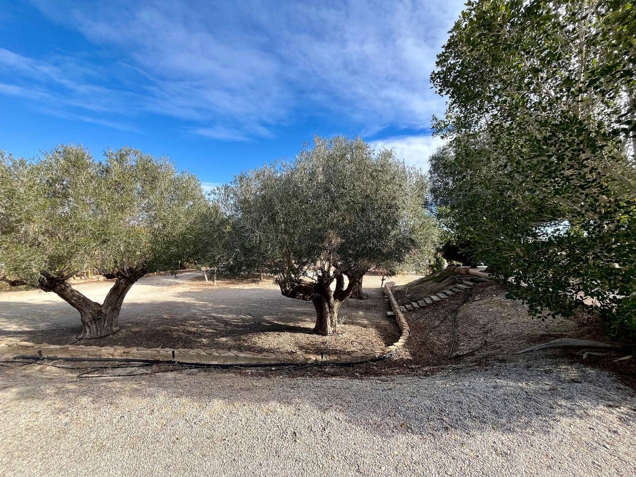 4 soveværelse Finca/Landehus til salg i El Esparragal med swimmingpool - € 545.000 (Ref: 9464093)