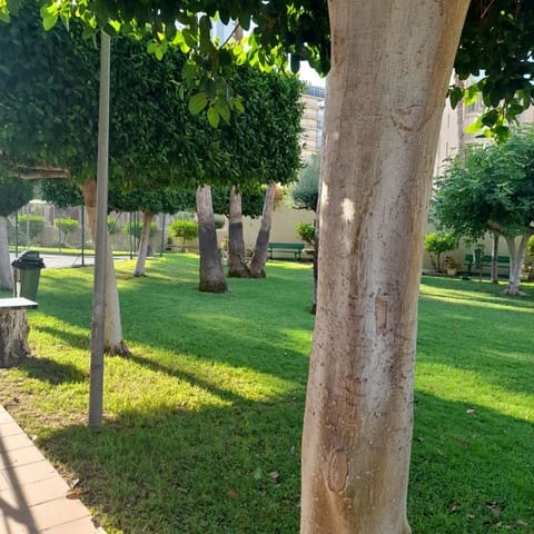 1 sovrum Lägenhet till salu i Playa Levante, Benidorm med pool garage - 245 000 € (Ref: 9464649)