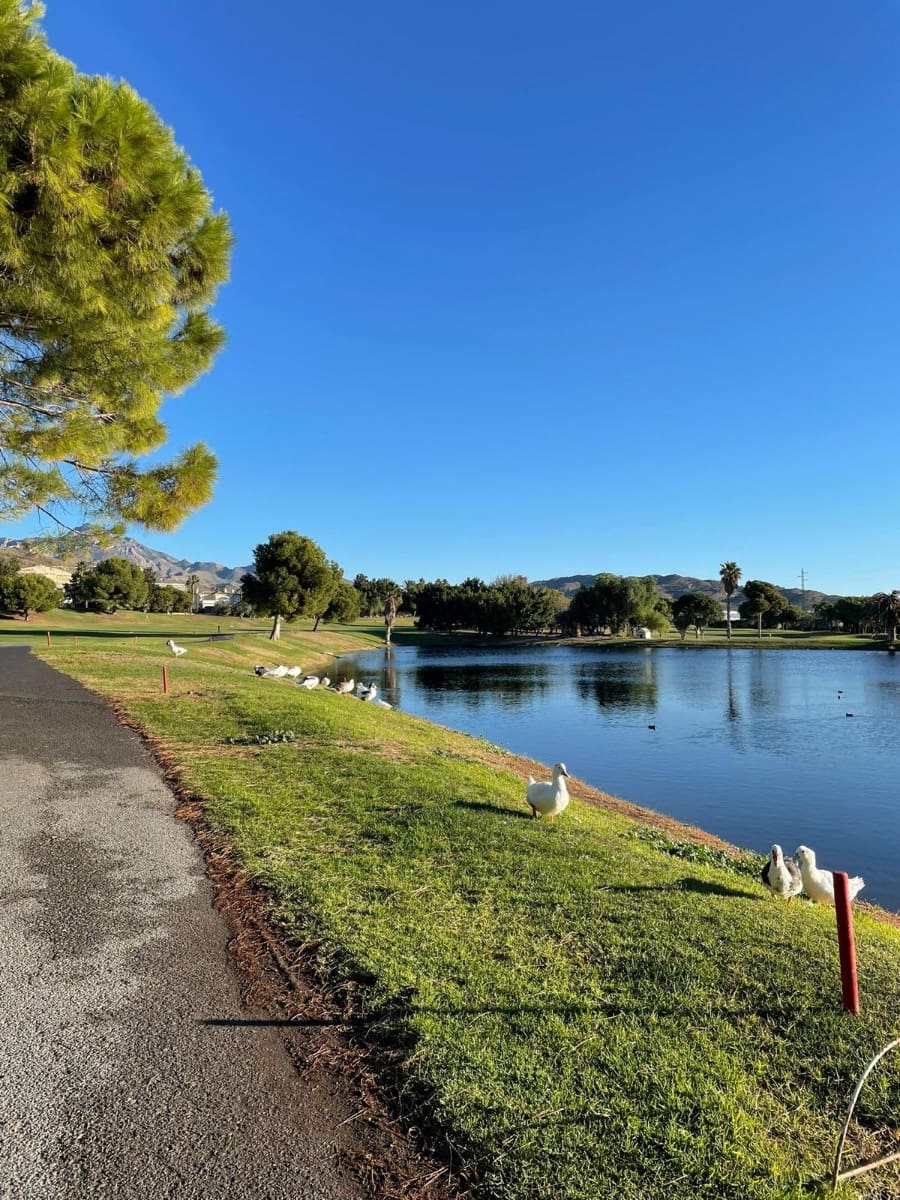 2 chambre Appartement à vendre à Muchamiel / Mutxamel avec piscine - 286 000 € (Ref: 9464709)