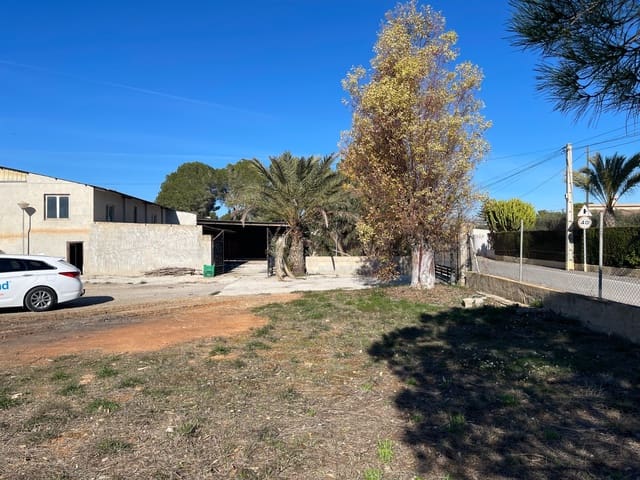 6 chambre Finca/Maison de Campagne à vendre à Elche / Elx avec piscine - 280 000 € (Ref: 9511534)
