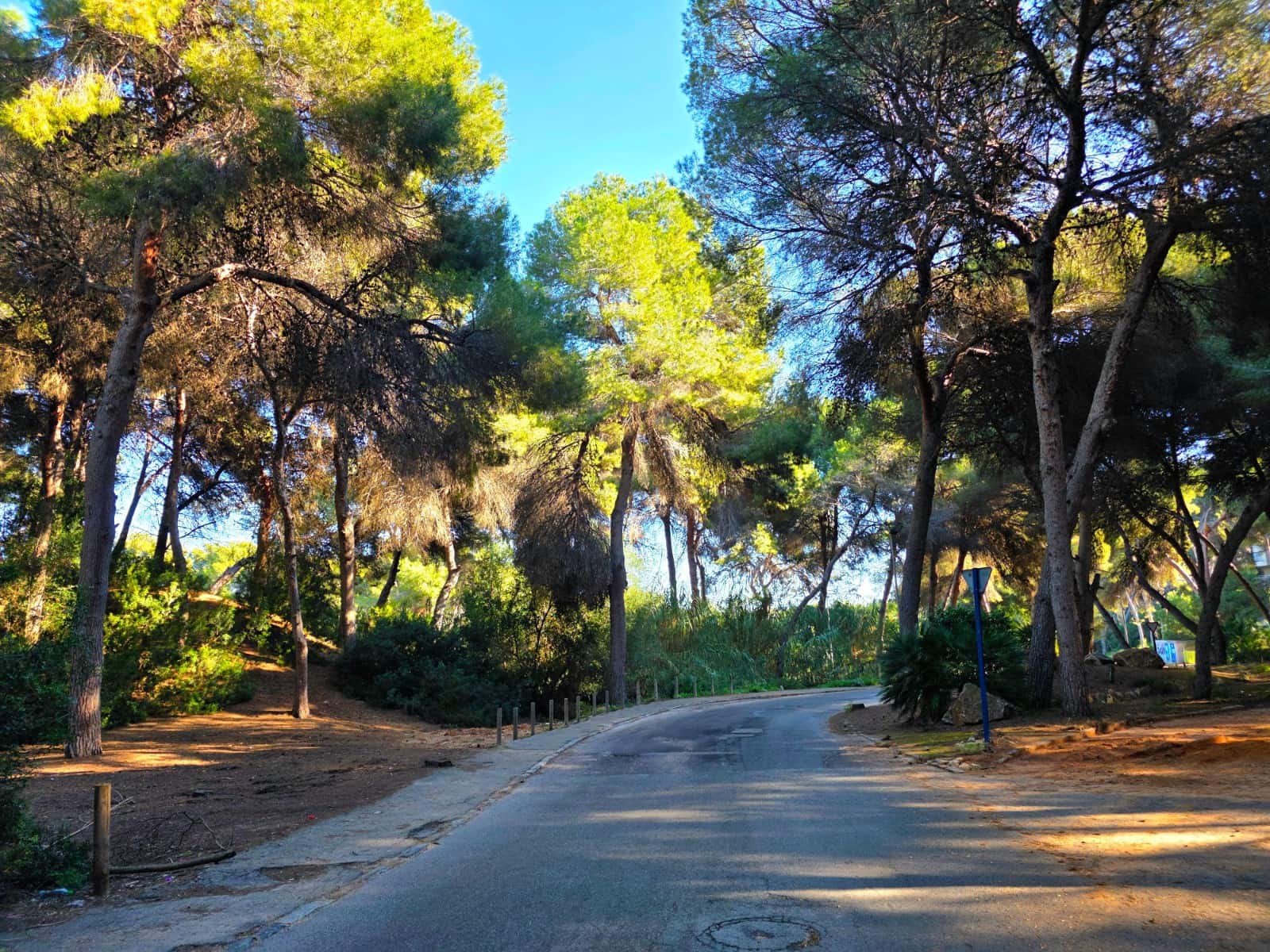 5 soveværelse Villa til salg i Cabo Cervera med swimmingpool - € 739.900 (Ref: 9511814)