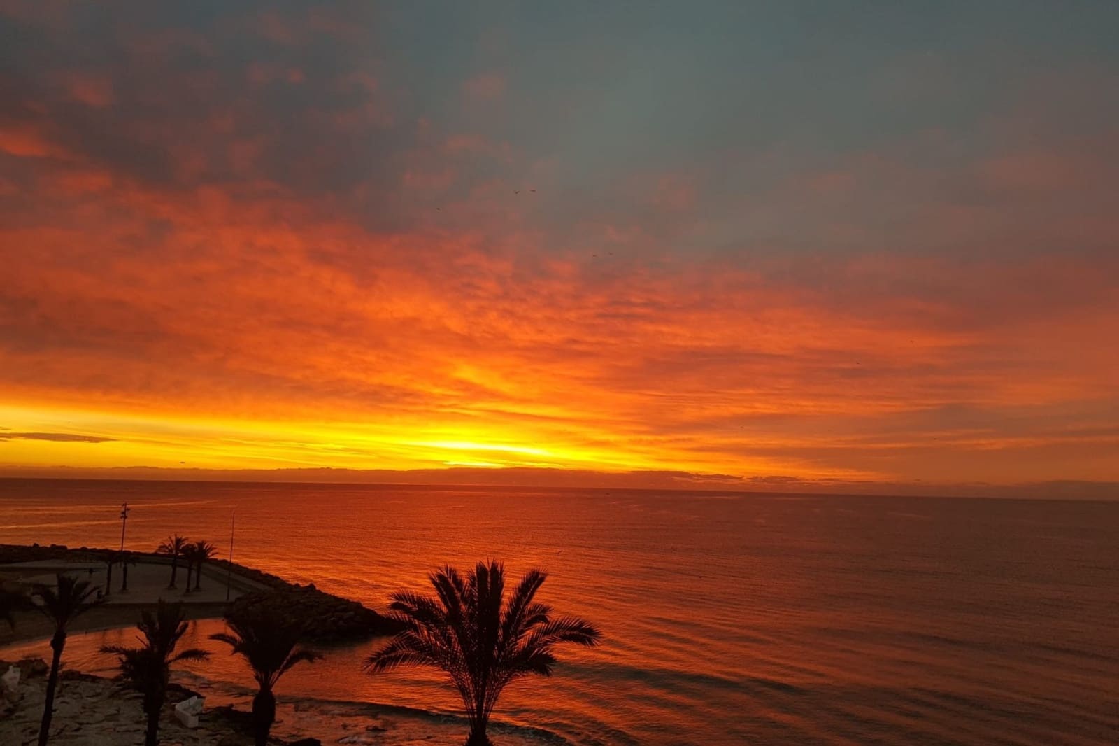 3 sypialnia Apartament przy plaży na sprzedaż w Torrevieja z basenem - 497 000 € (Ref: 9512156)