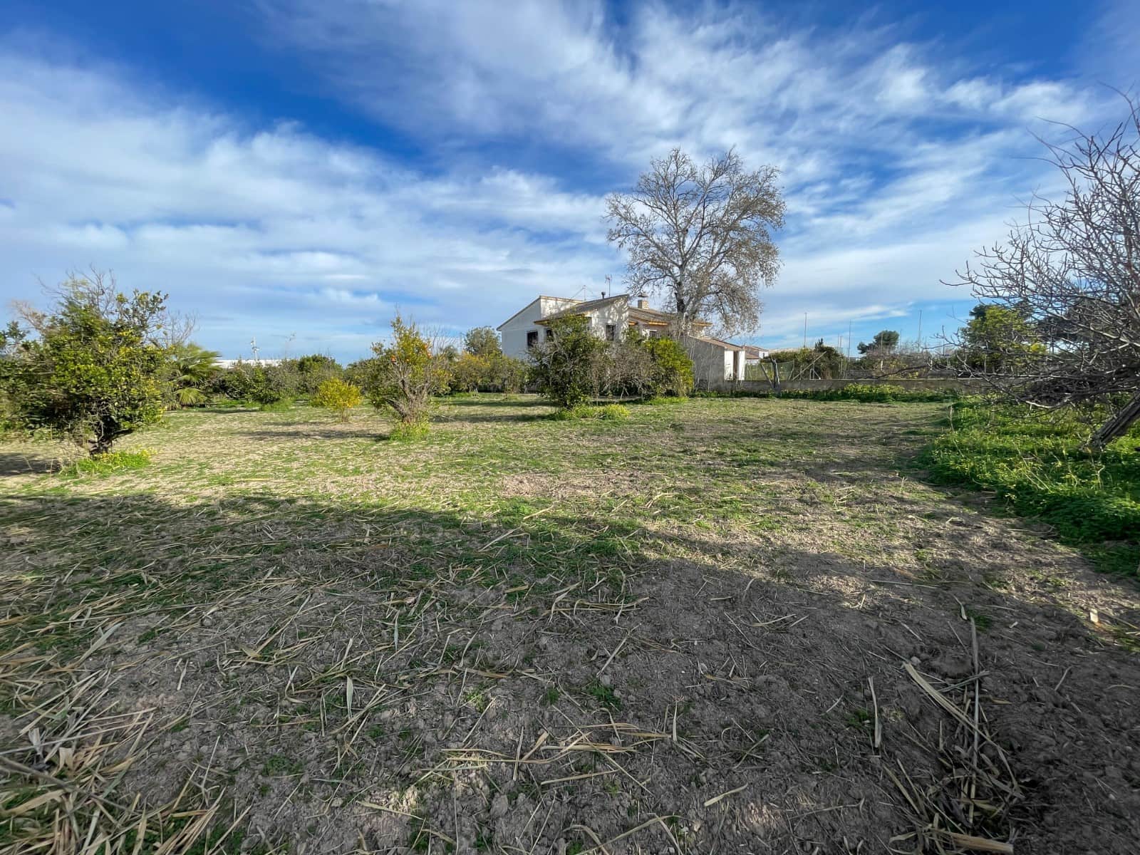 Chalet de 5 habitaciones en Benejúzar en venta con piscina - 299.000 € (Ref: 9563774)