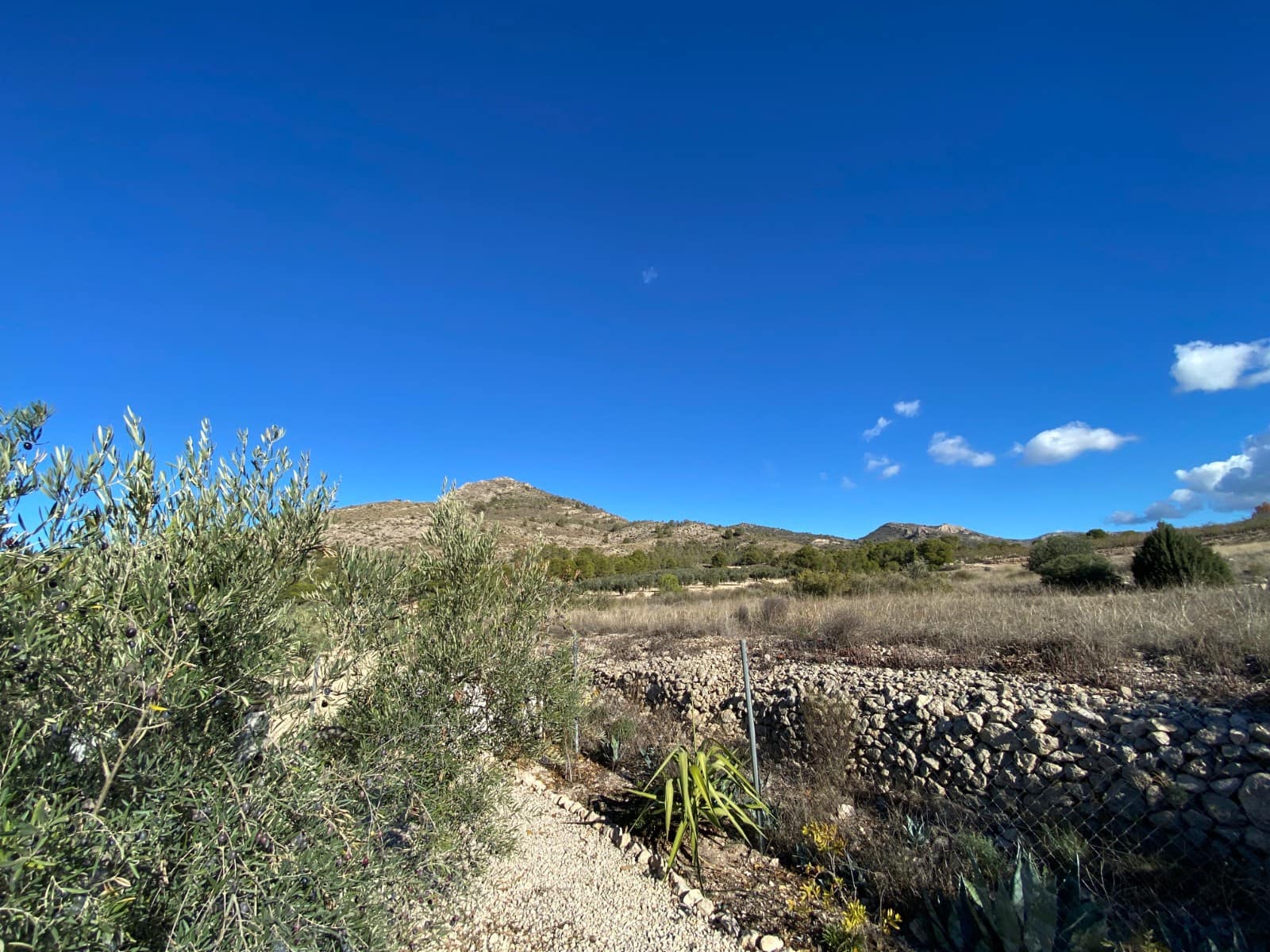 3 camera da letto Villa in vendita in Sax con piscina garage - 399.995 € (Rif: 9574095)