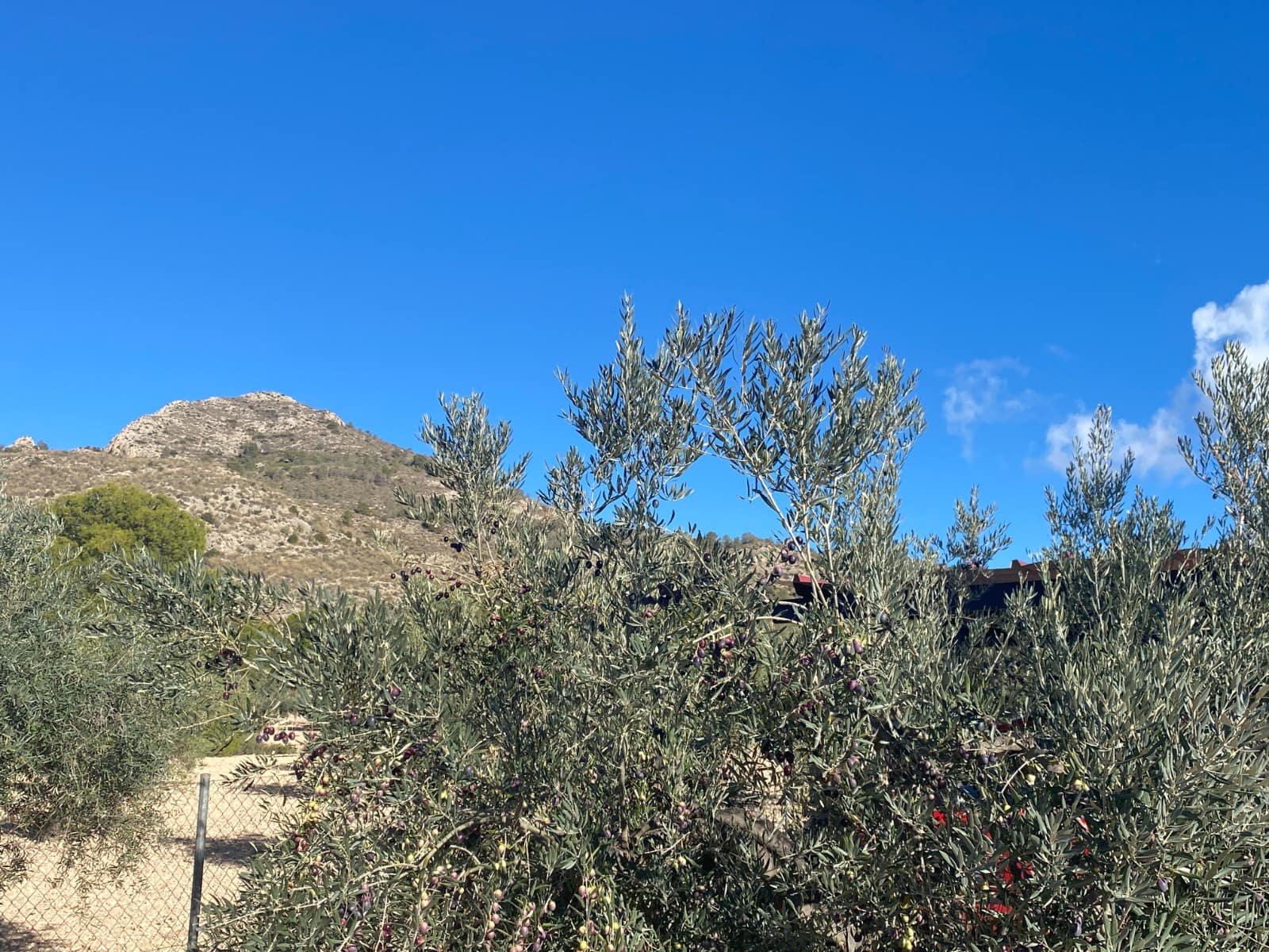 3 camera da letto Villa in vendita in Sax con piscina garage - 399.995 € (Rif: 9574095)