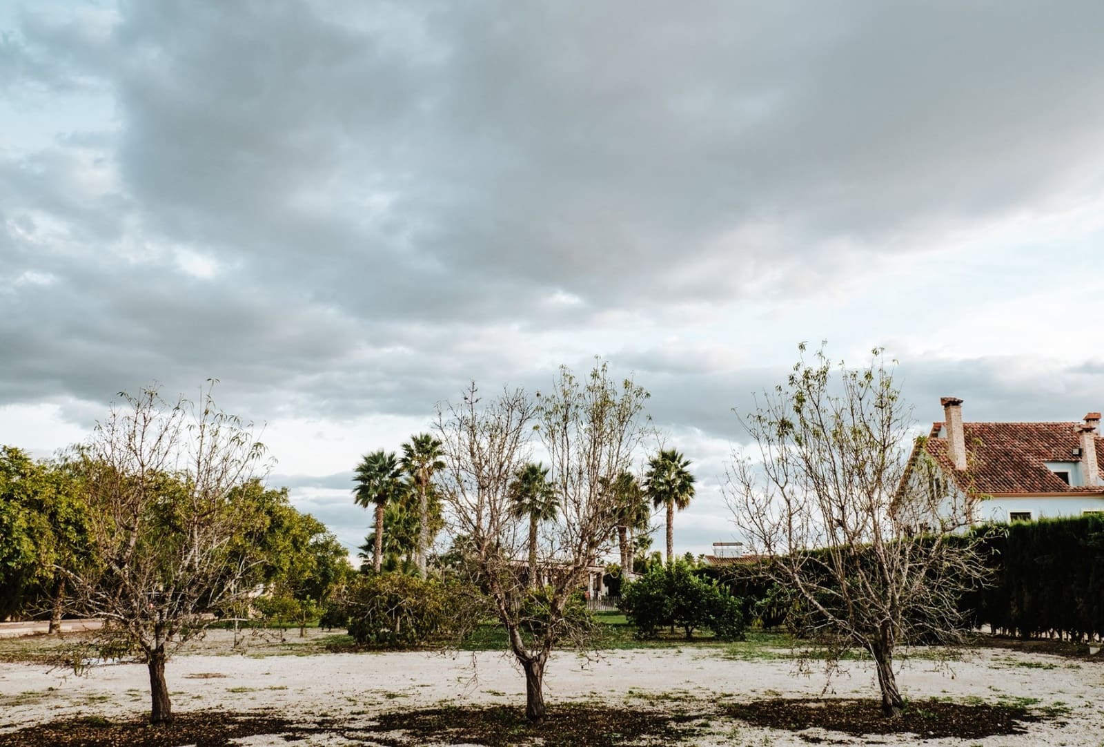 1 makuuhuone Huvila myytävänä paikassa Catral mukana uima-altaan 
autotalli - 675 000 € (Ref: 9574099)