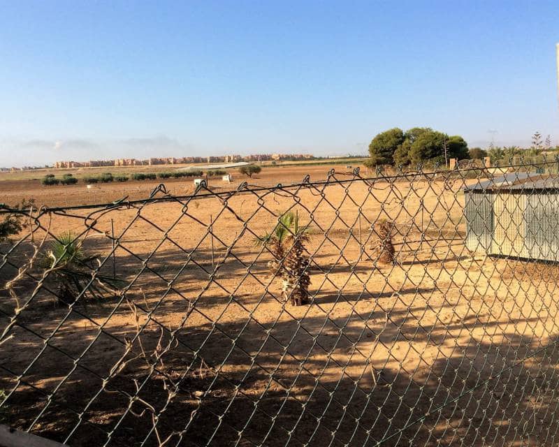 4 Zimmer Finca/Landgut zu verkaufen in Torre-Pacheco mit Pool - 390.000 € (Ref: 9574100)