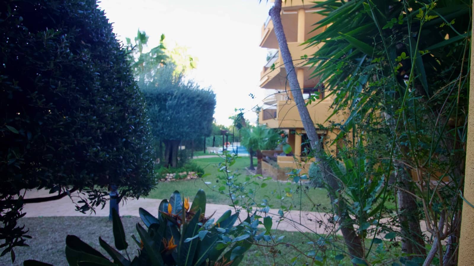 2 chambre Appartement de Plage à vendre à Punta Prima avec piscine - 249 000 € (Ref: 9601092)