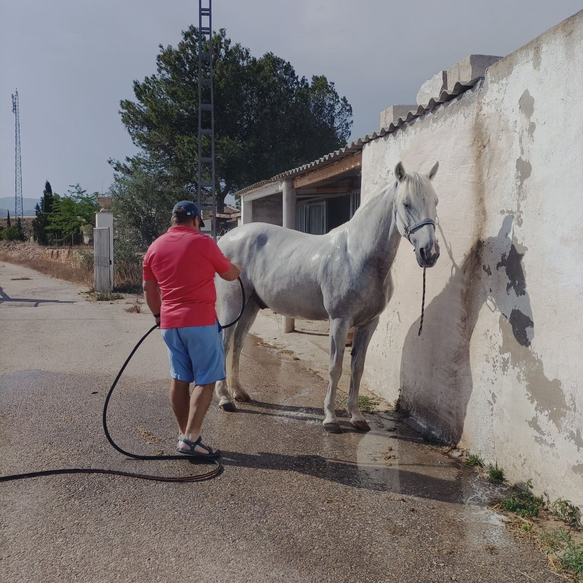 3 bedroom Finca/Country House for sale in Monovar / Monover with pool garage - € 200,000 (Ref: 9627362)