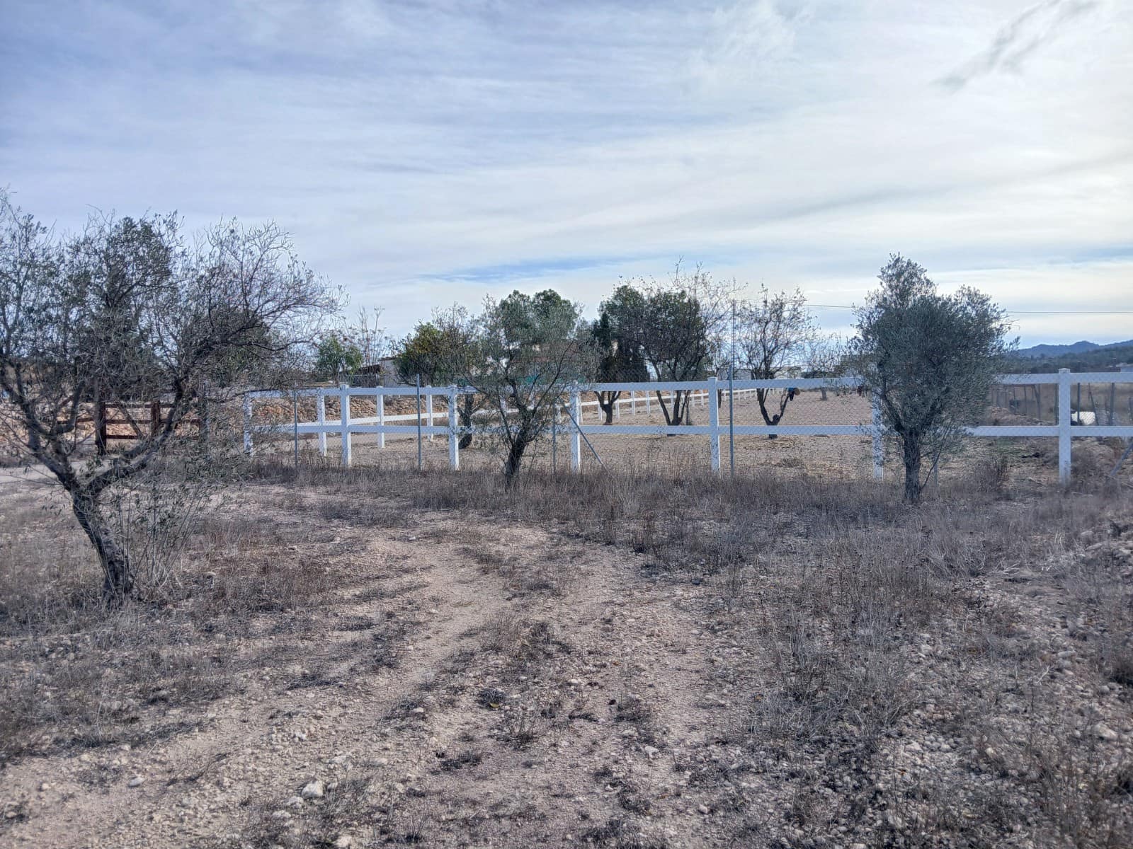 3 bedroom Finca/Country House for sale in Monovar / Monover with pool garage - € 200,000 (Ref: 9627362)