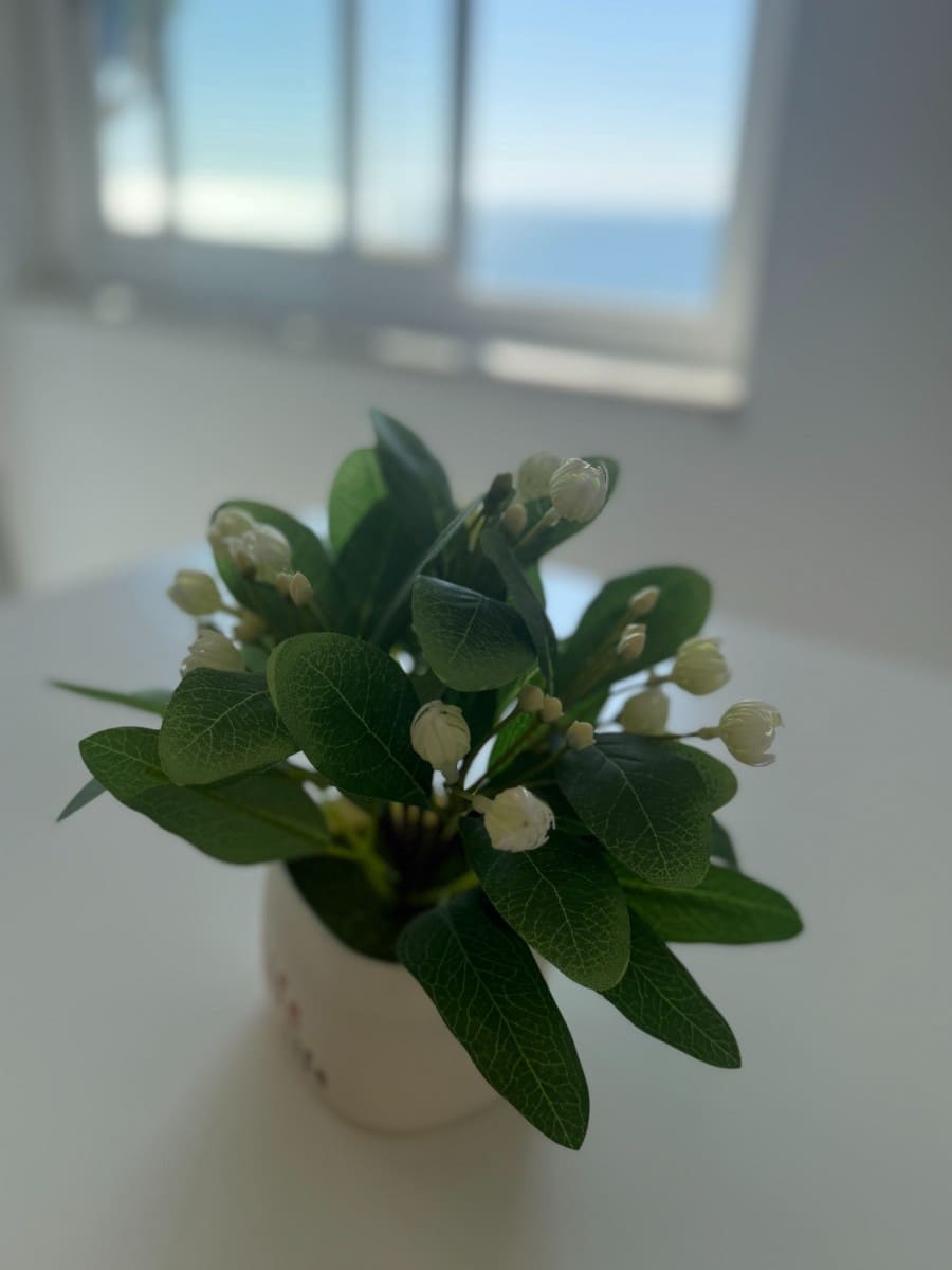 1 quarto Apartamento de Praia para venda em Santa Pola - 199 000 € (Ref: 9647885)