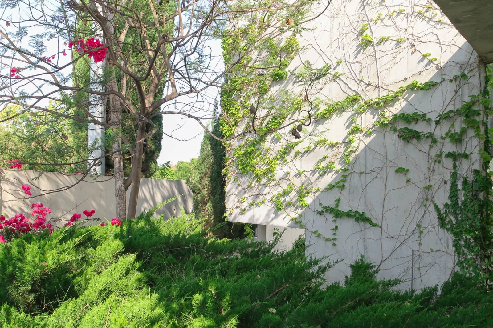 3 soverom Villa til salgs i San Vicente / Sant Vicent del Raspeig med svømmebasseng garasje - € 1 250 000 (Ref: 9651348)