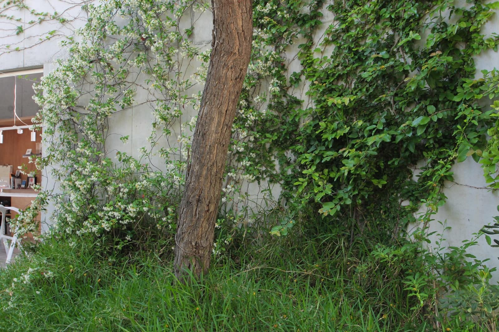 3 soverom Villa til salgs i San Vicente / Sant Vicent del Raspeig med svømmebasseng garasje - € 1 250 000 (Ref: 9651348)