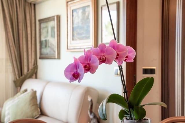 5 soverom Leilighet til salgs i Casco Antiguo - Sant Cruz - Ayuntamiento, Alicante by - € 1 200 000 (Ref: 9651362)