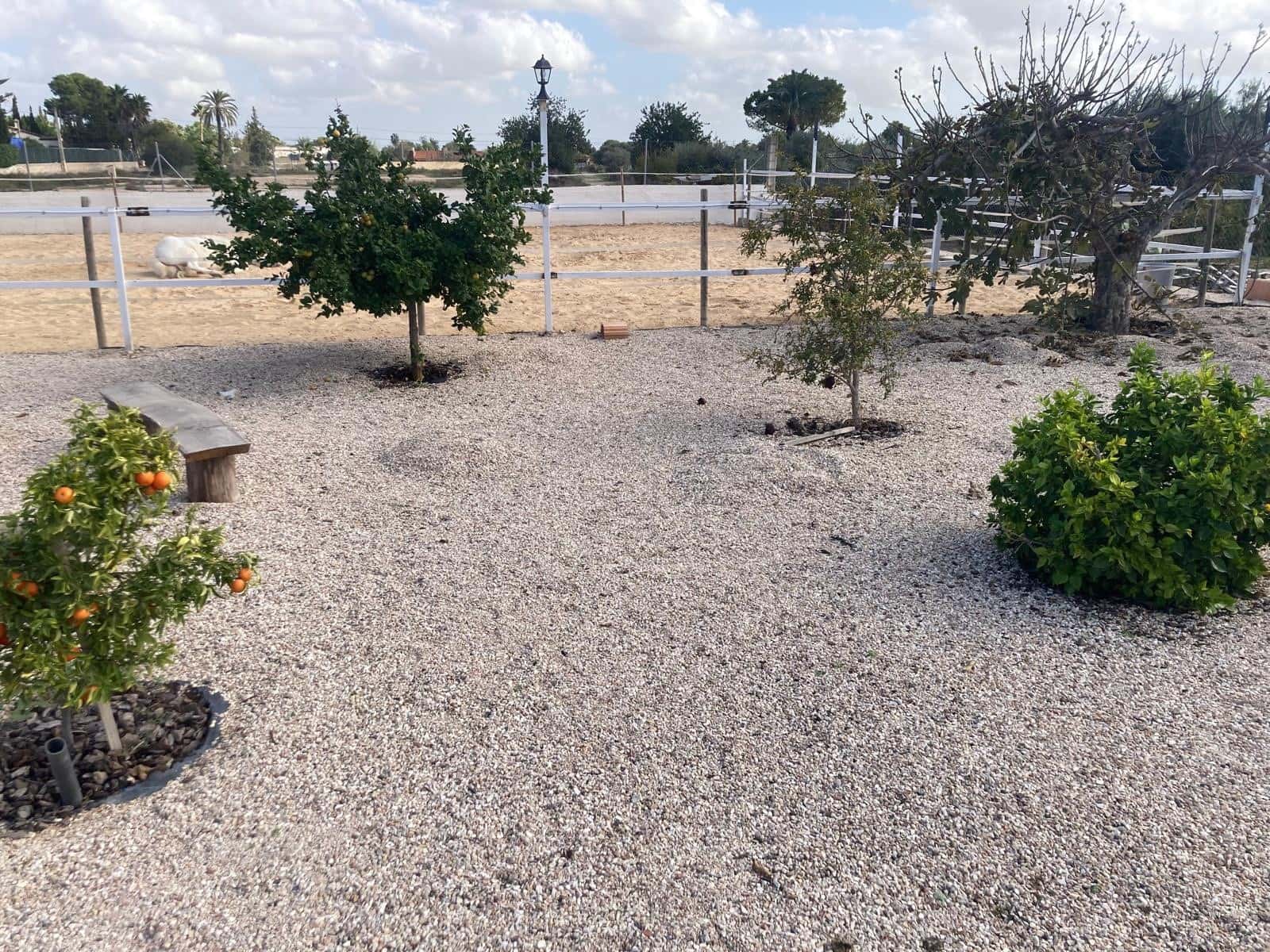 5 sovrum Finca/Hus på landet till salu i Crevillente / Crevillent med pool - 479 000 € (Ref: 9670236)