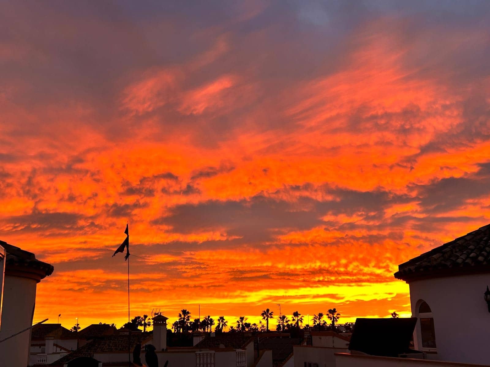 3 quarto Moradia para venda em El Raso com piscina - 220 000 € (Ref: 9679622)