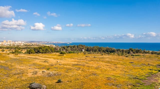 2 makuuhuone Kattohuoneisto myytävänä paikassa Punta Prima, Orihuela mukana uima-altaan 
autotalli - 235 000 € (Ref: 9821220)