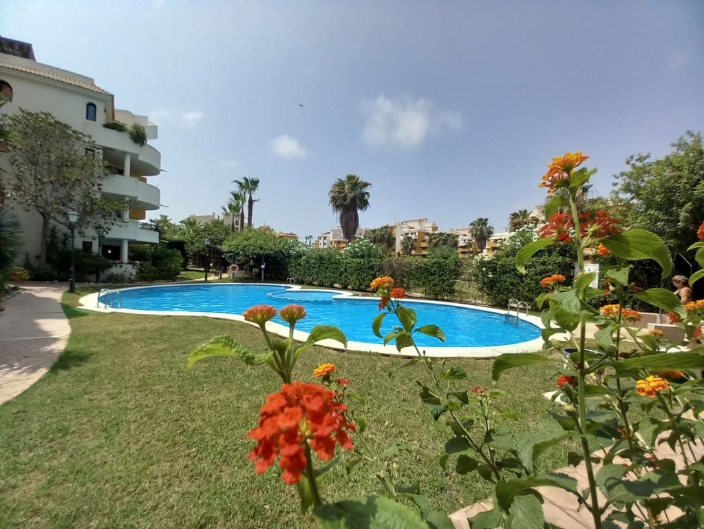 2 bedroom Penthouse for sale in Punta Prima with pool garage - € 299,900 (Ref: 9904031)