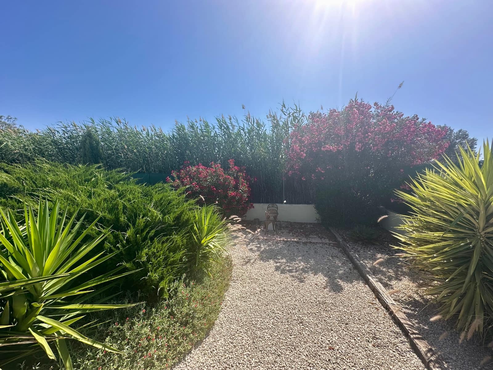 3 sovrum Finca/Hus på landet till salu i Catral med pool - 360 000 € (Ref: 9906959)