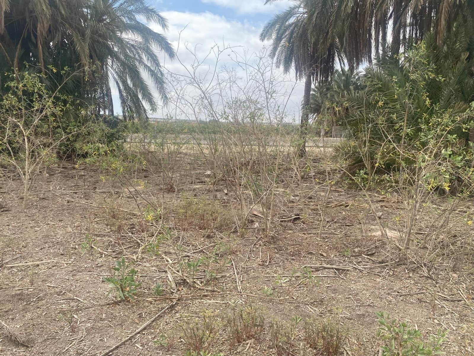 Undeveloped Land for sale in La Marina, Elche / Elx € 21,000 (Ref