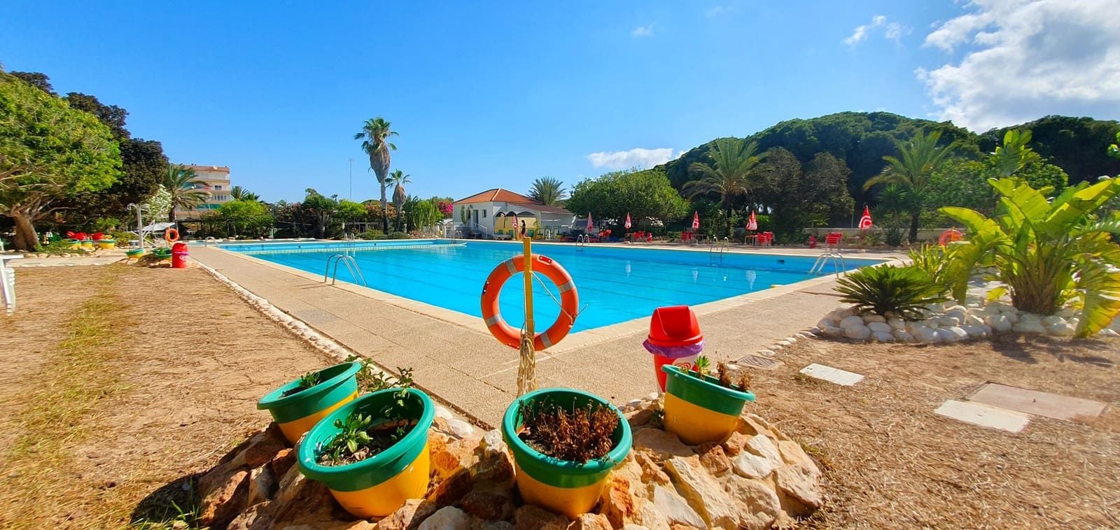 Business for sale in Guardamar del Segura with pool garage - € 850,000 (Ref: 9170660)