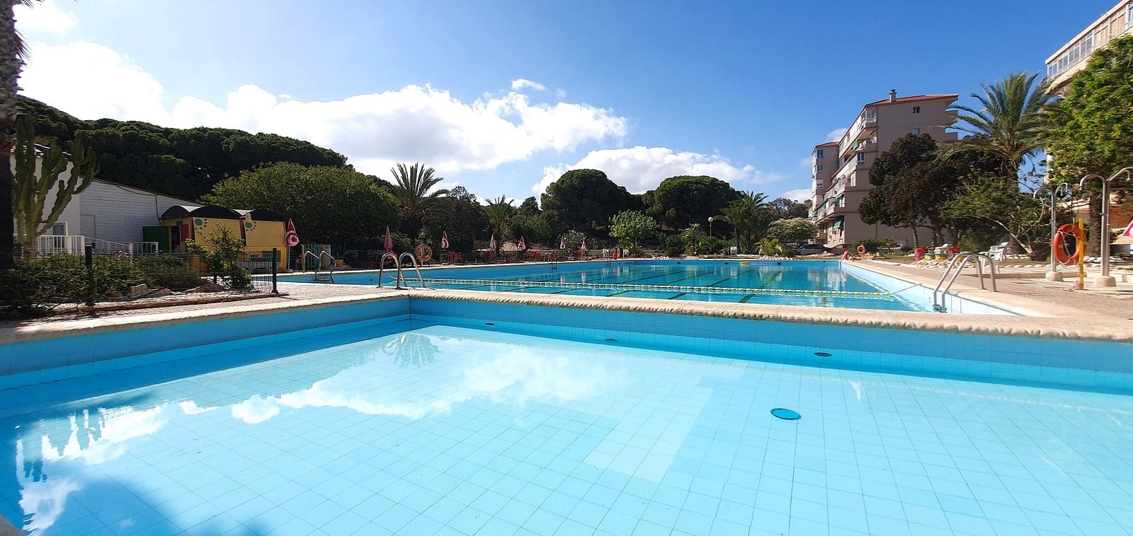 Business for sale in Guardamar del Segura with pool garage - € 850,000 (Ref: 9170660)