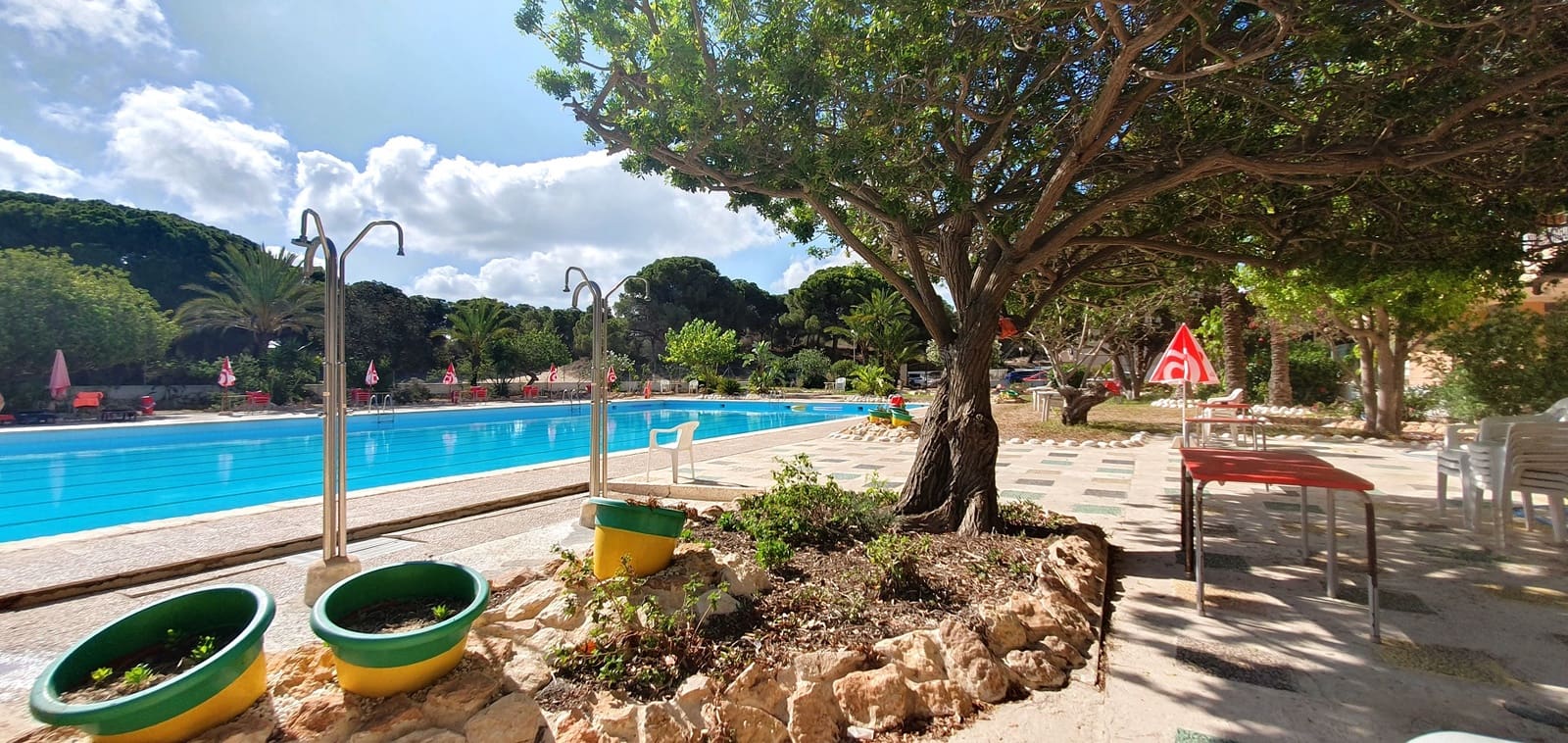 Business for sale in Guardamar del Segura with pool garage - € 850,000 (Ref: 9170660)