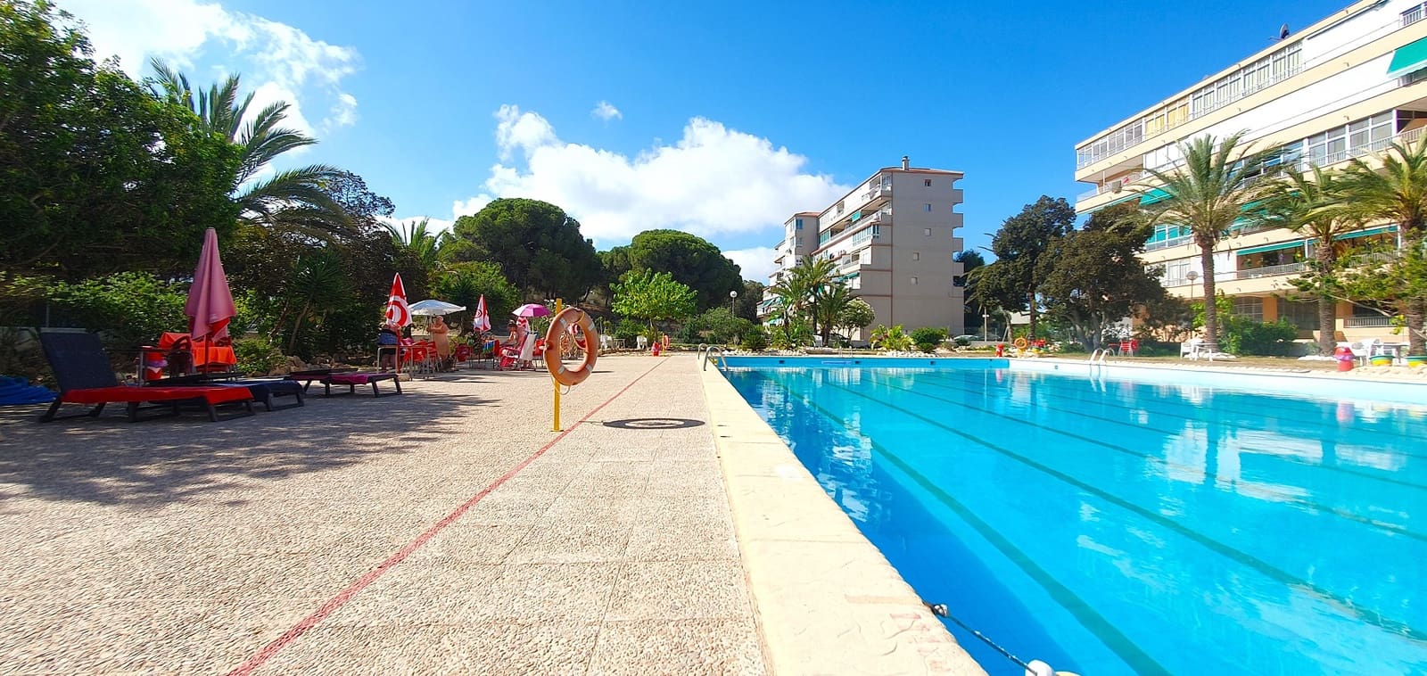 Business for sale in Guardamar del Segura with pool garage - € 850,000 (Ref: 9170660)