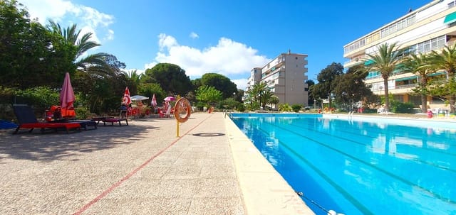 Business for sale in El Moncayo - El Pòrtic, Guardamar del Segura with pool garage - € 850,000 (Ref: 9170660)