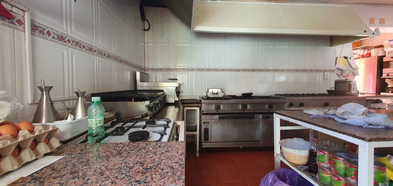 Business for sale in Guardamar del Segura with pool garage - € 850,000 (Ref: 9170660)