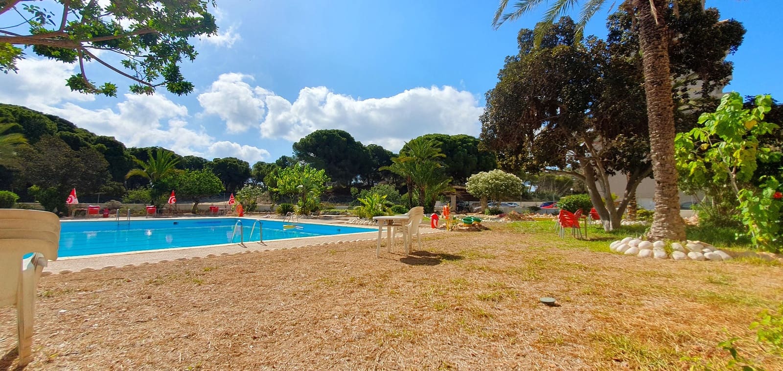 Business for sale in Guardamar del Segura with pool garage - € 850,000 (Ref: 9170660)