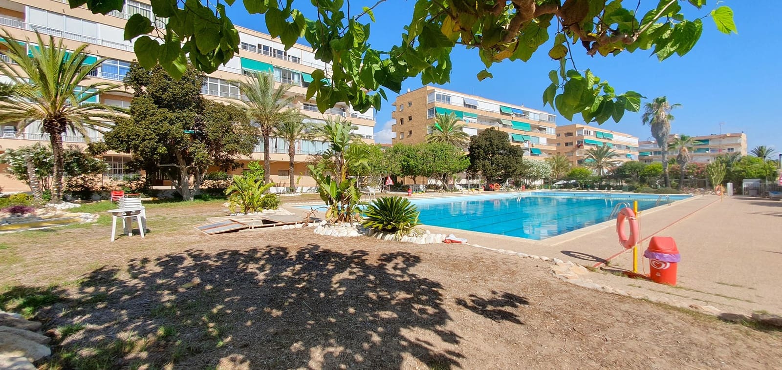 Business for sale in Guardamar del Segura with pool garage - € 850,000 (Ref: 9170660)