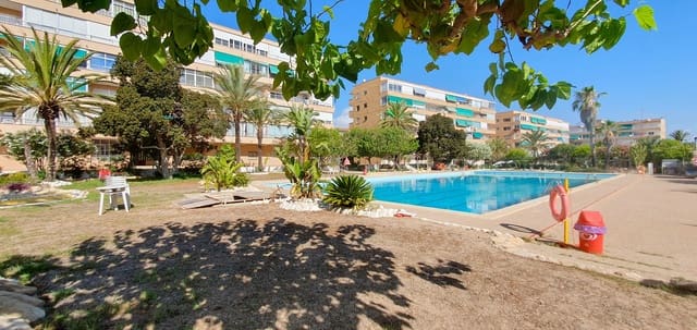 Business for sale in El Moncayo - El Pòrtic, Guardamar del Segura with pool garage - € 850,000 (Ref: 9170660)