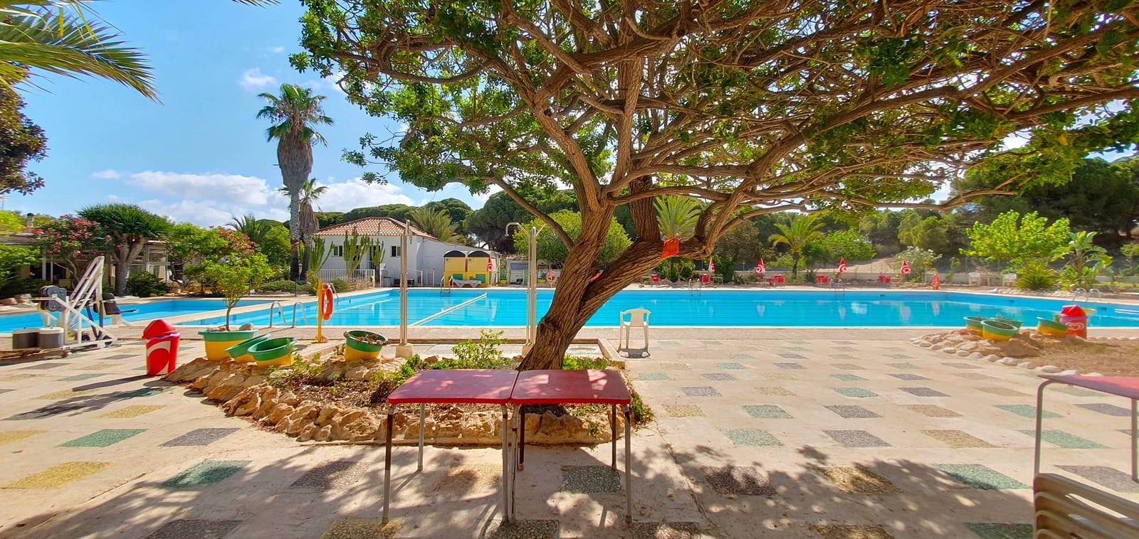 Business for sale in Guardamar del Segura with pool garage - € 850,000 (Ref: 9170660)