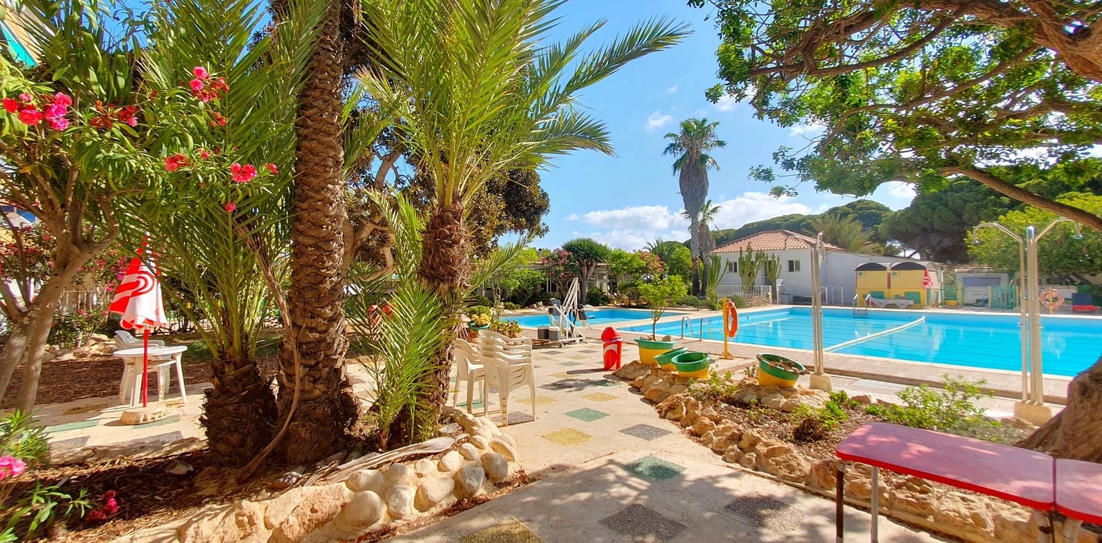 Business for sale in Guardamar del Segura with pool garage - € 850,000 (Ref: 9170660)