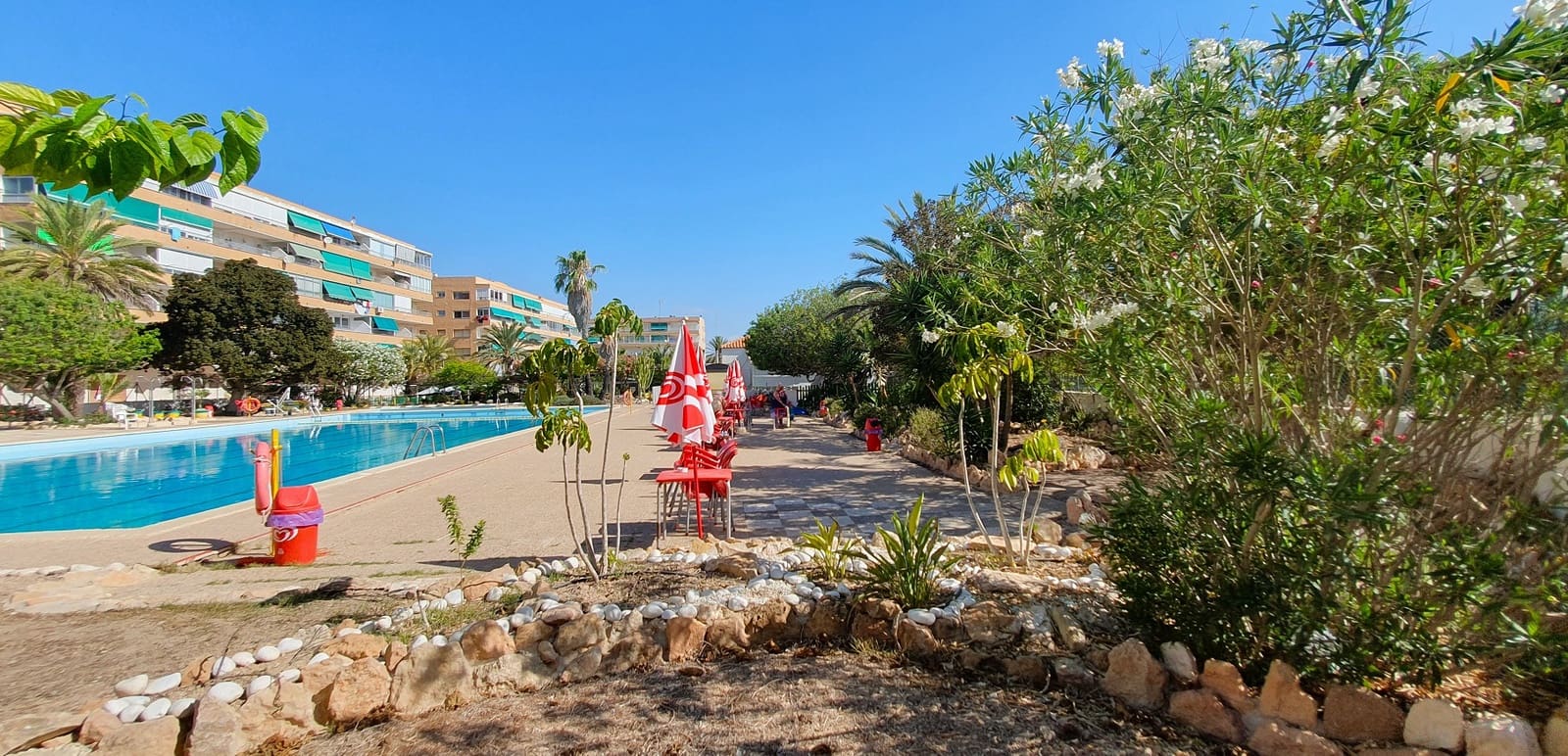 Business for sale in Guardamar del Segura with pool garage - € 850,000 (Ref: 9170660)