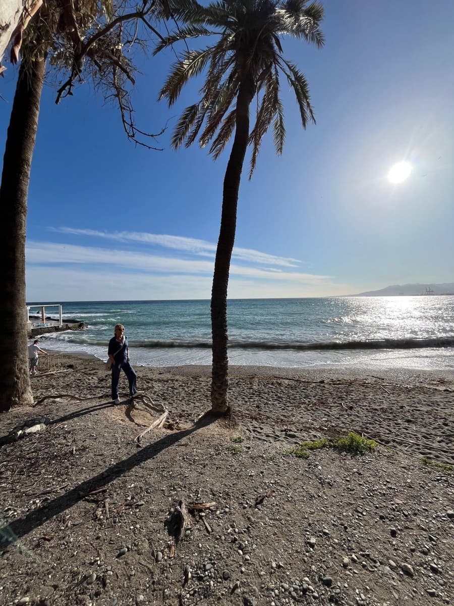 2 sovrum Lägenhet till salu i Malaga stad med pool - 446 000 € (Ref: 9659405)