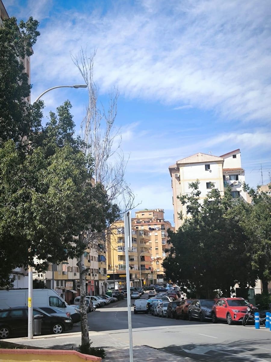 4 sypialnia Mieszkanie na sprzedaż w Miasto Malaga - 349 000 € (Ref: 9818188)