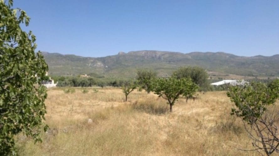 Mark till salu i Moratalla - 38 000 € (Ref: 7274025)