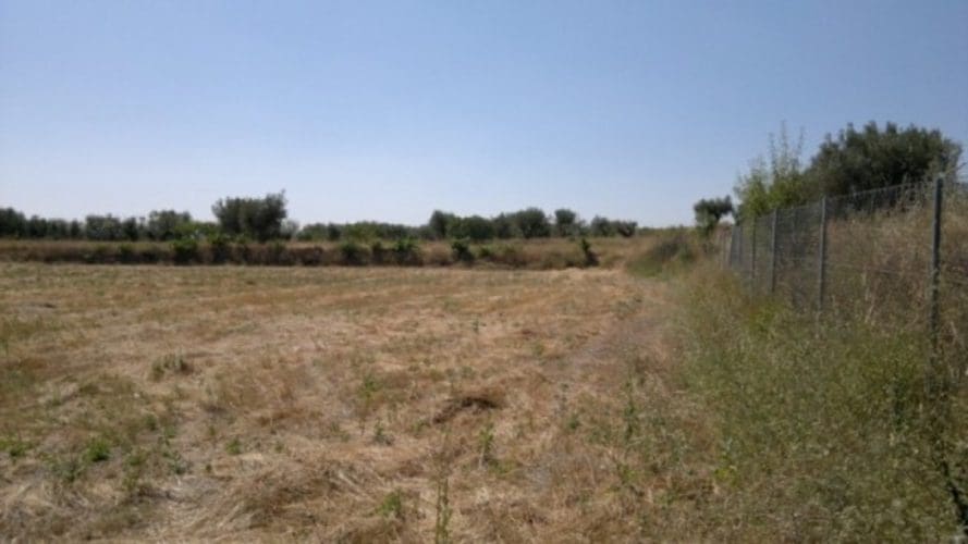 Mark till salu i Moratalla - 38 000 € (Ref: 7274025)