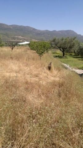 Mark till salu i Moratalla - 38 000 € (Ref: 7274025)