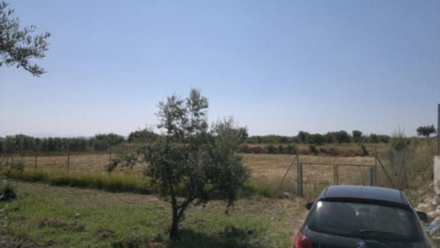 Mark till salu i Moratalla - 38 000 € (Ref: 7274025)