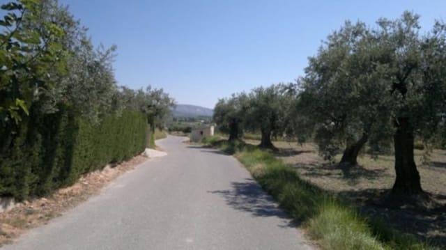 Mark till salu i Moratalla - 38 000 € (Ref: 7274025)