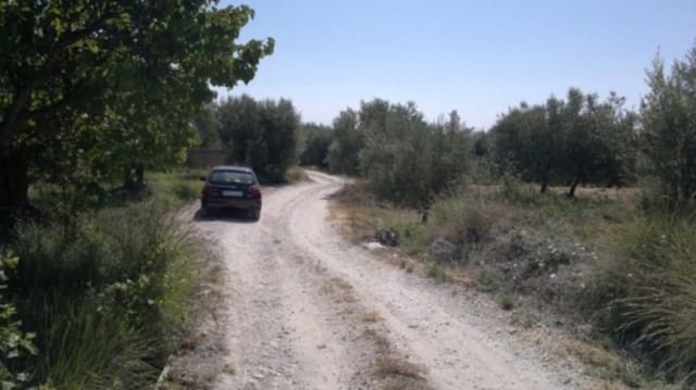 Mark till salu i Moratalla - 38 000 € (Ref: 7274025)