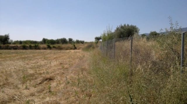 Mark till salu i Moratalla - 38 000 € (Ref: 7274025)