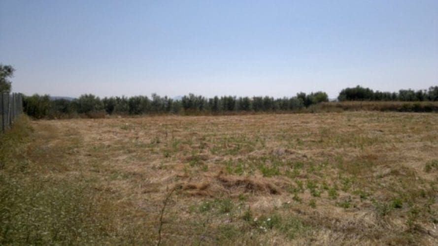 Mark till salu i Moratalla - 38 000 € (Ref: 7274025)