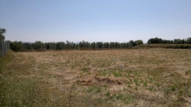 Mark till salu i Moratalla - 38 000 € (Ref: 7274025)