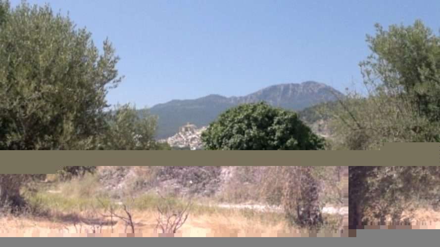 Mark till salu i Moratalla - 38 000 € (Ref: 7274025)